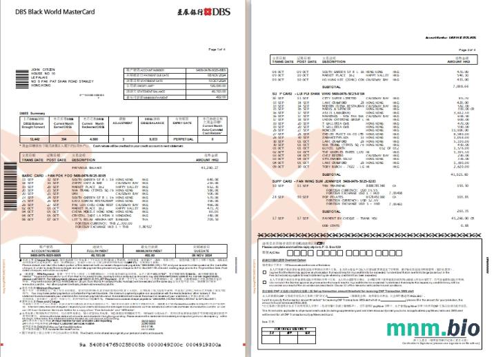 Hong Kong DBS Black World MasterCard eStatement 3-4